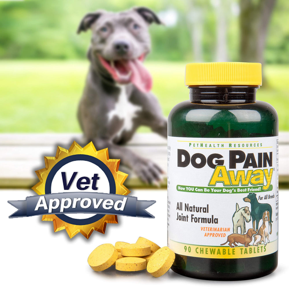 Dog Pain Away chews displayed as tasty treats for mobility.