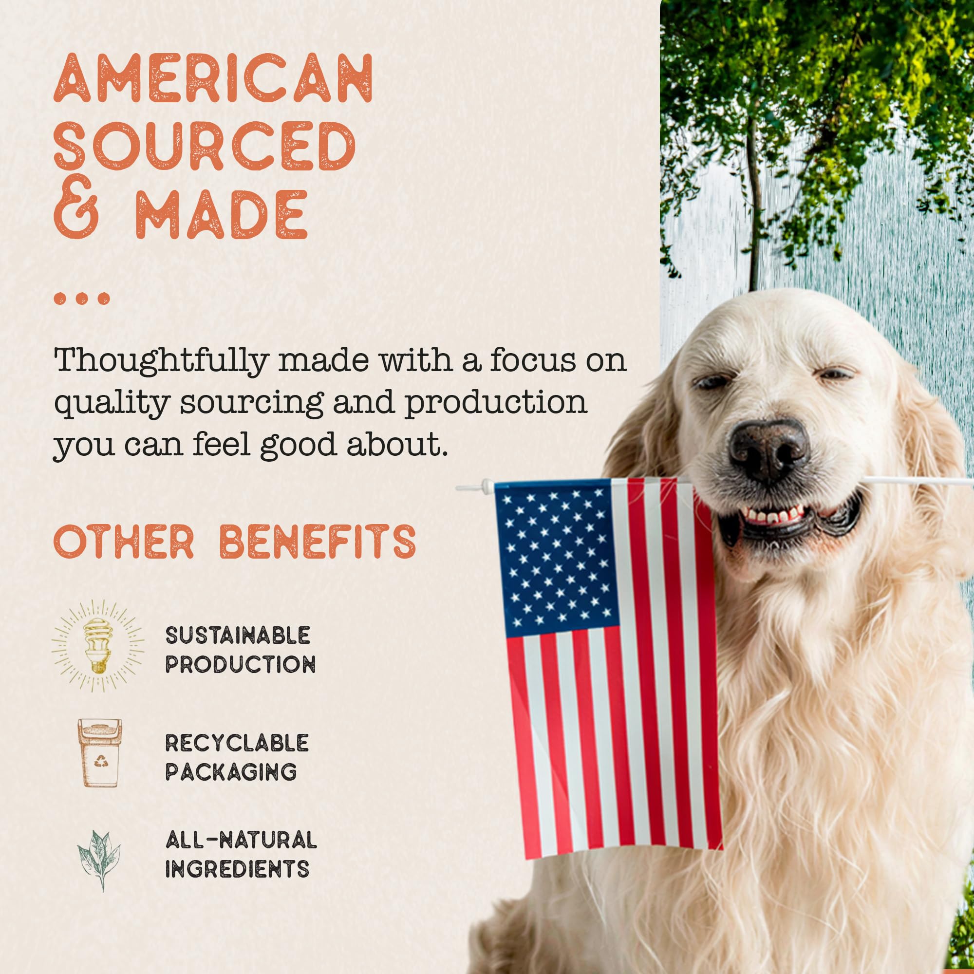 Dog Treat Naturals SQF facility logo—produced in a safety-certified environment.