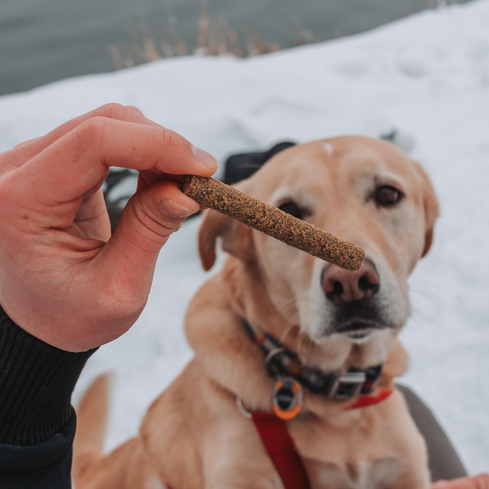 Close-up of recyclable bag for Dog Treat Naturals Superfood Sticks.