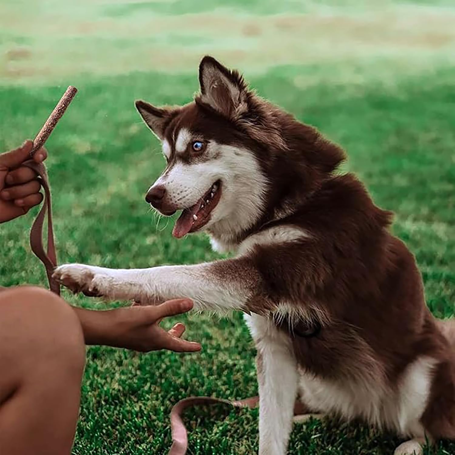 Product shot highlights American-made production of Dog Treat Naturals Sticks.