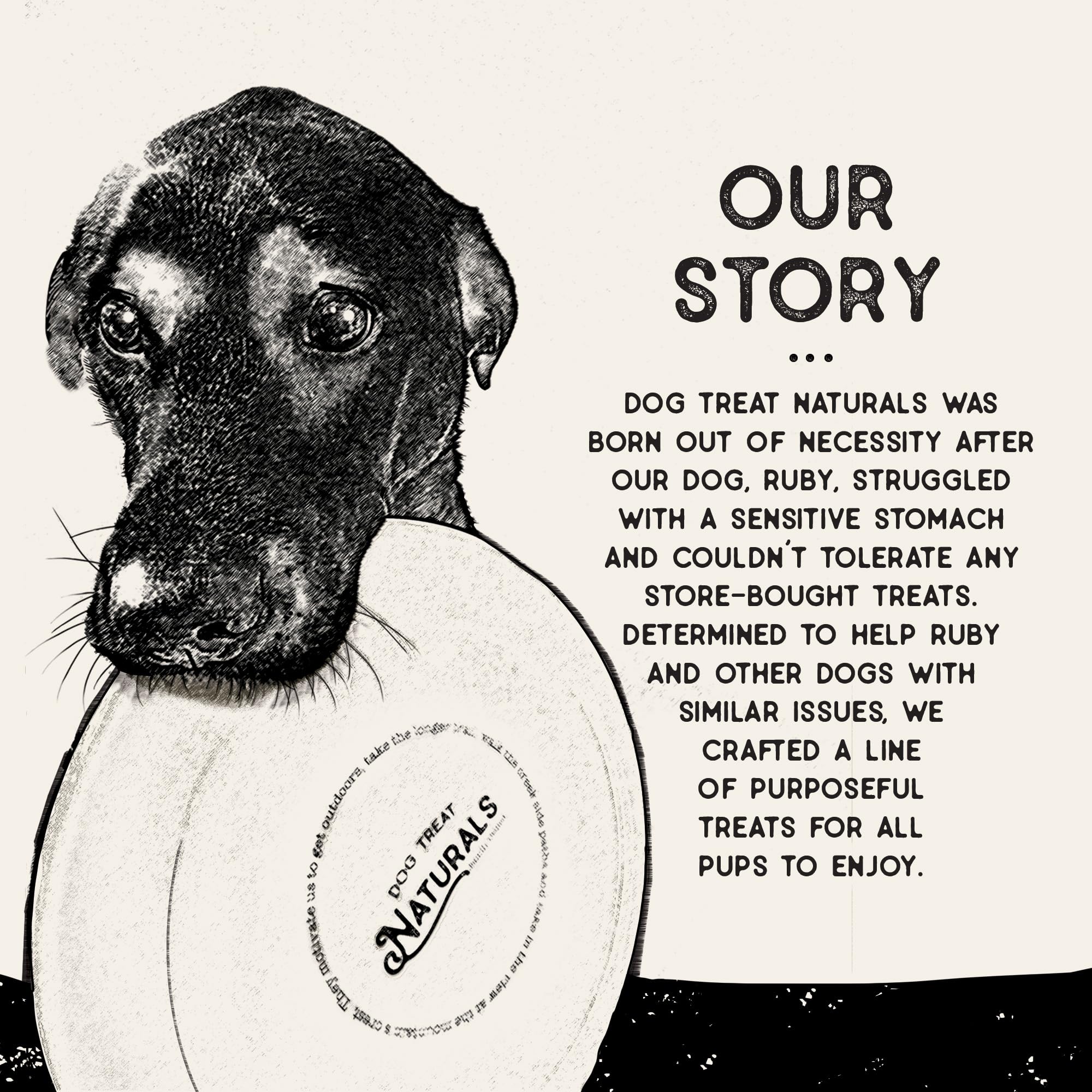 Dog Treat Naturals USA-made bag label, highlighting quality and safety standards.