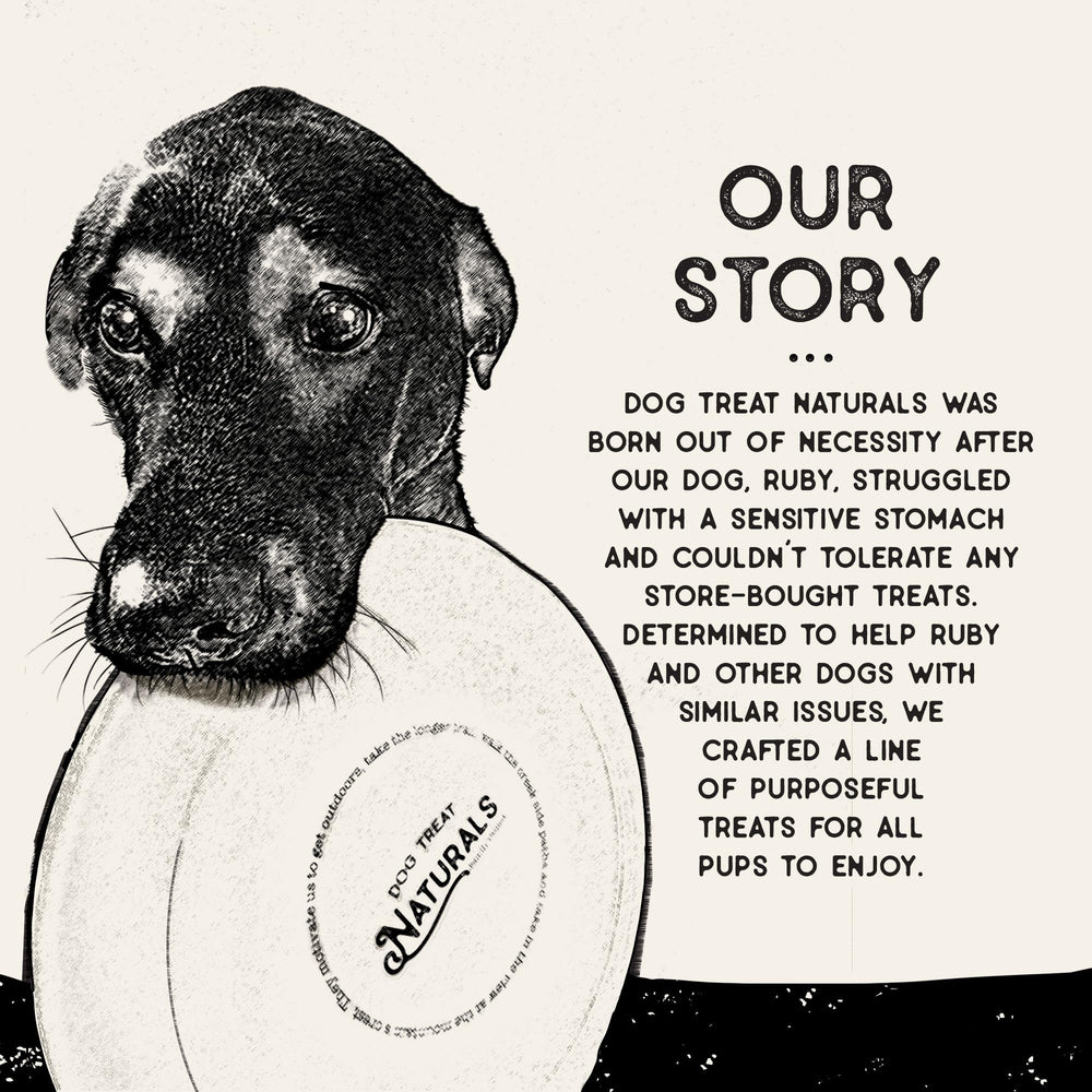 Dog Treat Naturals USA-made bag label, highlighting quality and safety standards.