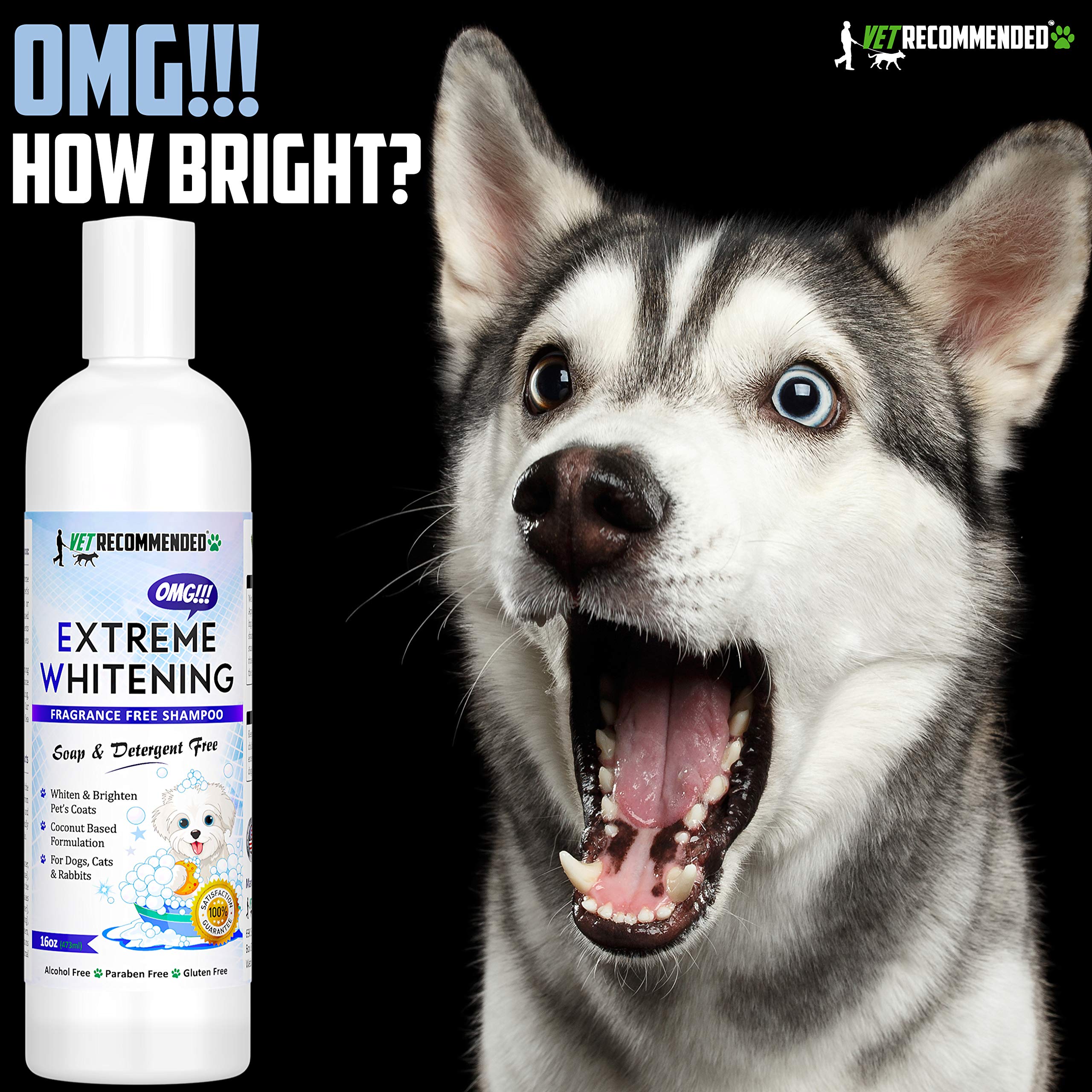 Dog with a bright white coat after using Vet Recommended OMG Extreme Whitening Shampoo.