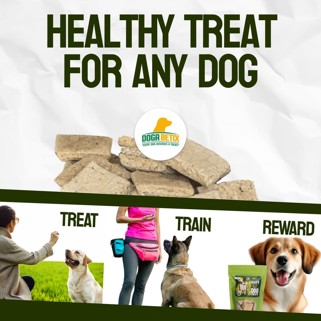 DogaBetix Ella’s diabetic treats packaging highlights four organic ingredients.