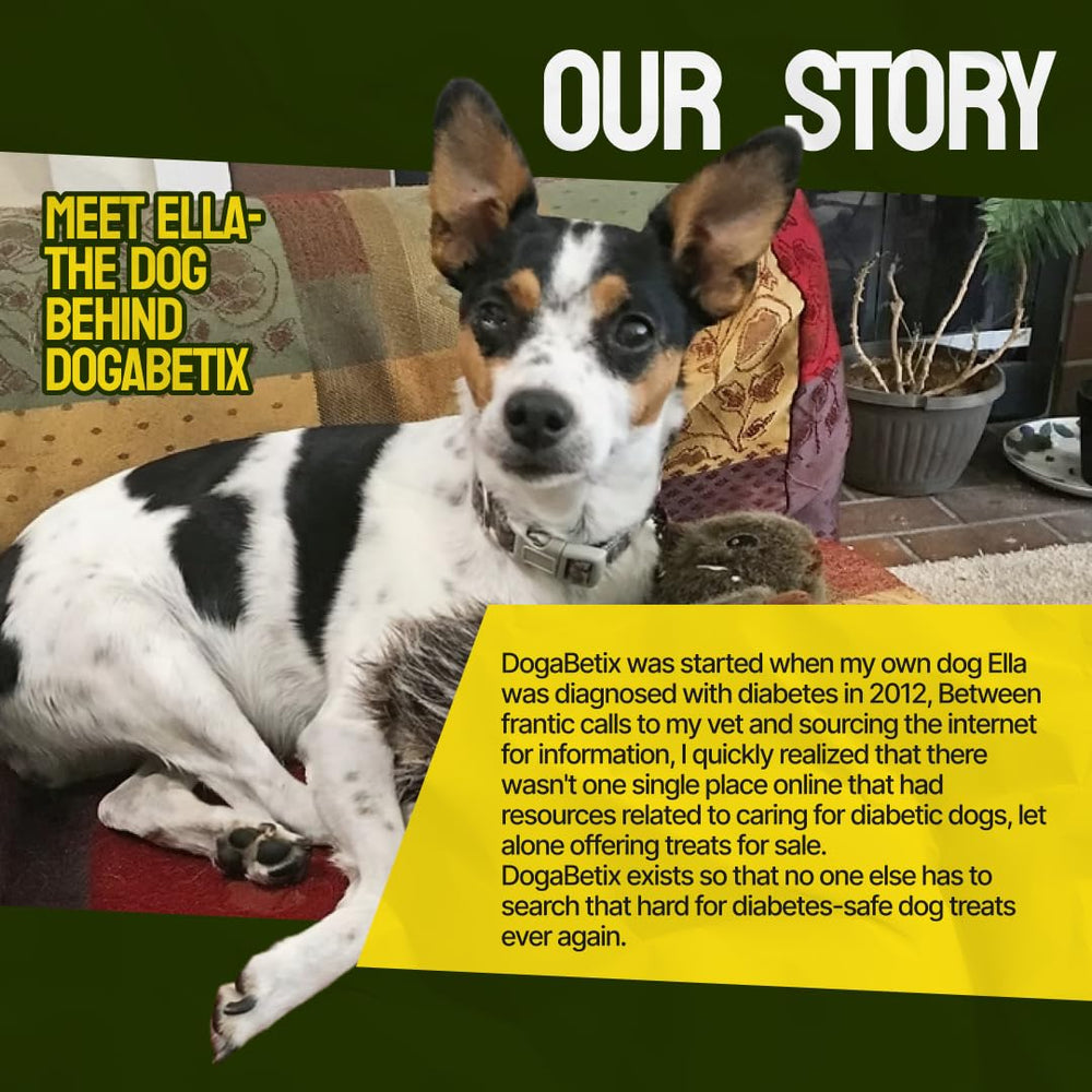 DogaBetix Ella’s 16oz bag offers daily diabetic-friendly treats.