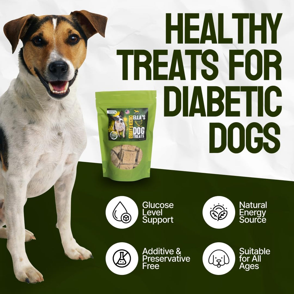 DogaBetix Ella’s diabetic dog treats shown served in a bowl for convenient snacking.