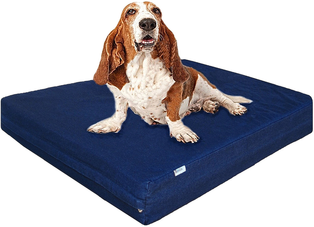 Dogbed4less large orthopedic memory foam bed in blue for steady joint support