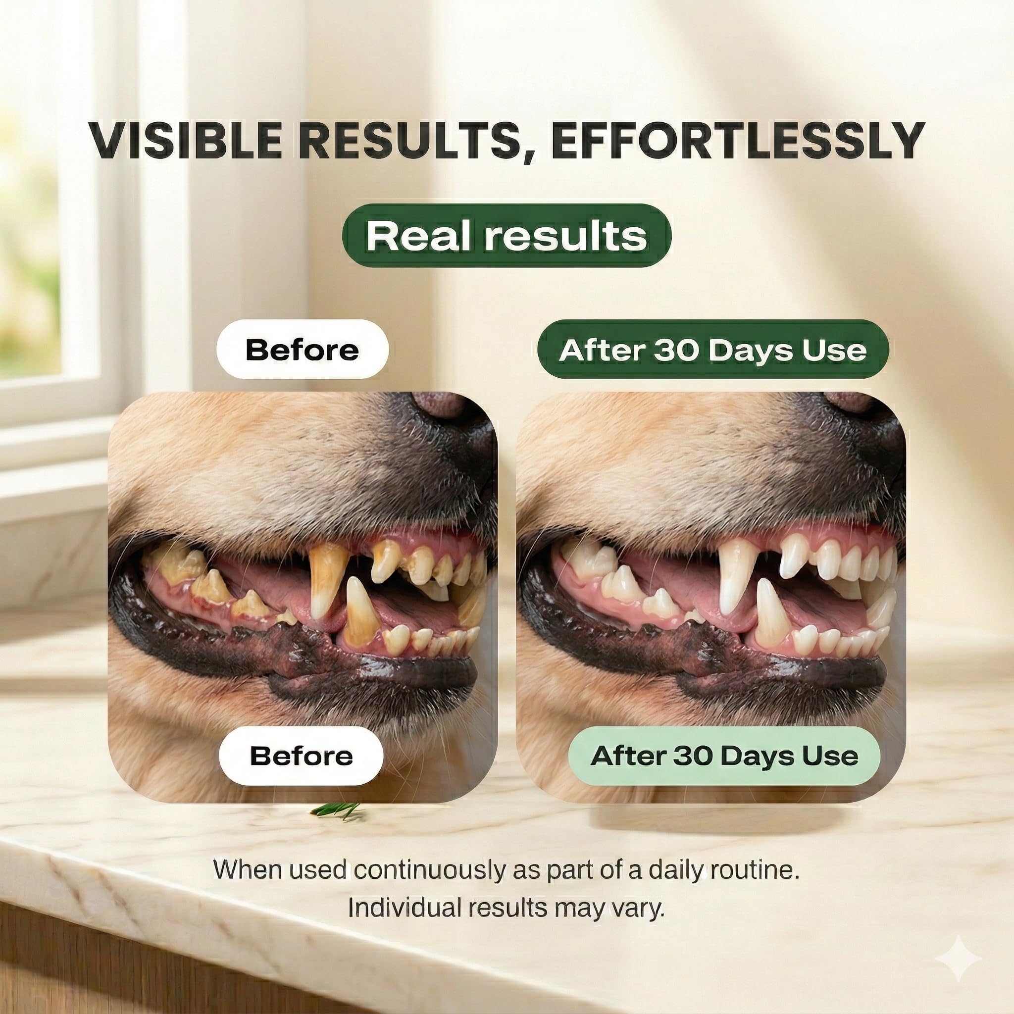 Dogbiotics DE-01 dental powder label emphasizes human-grade ingredients and purity.