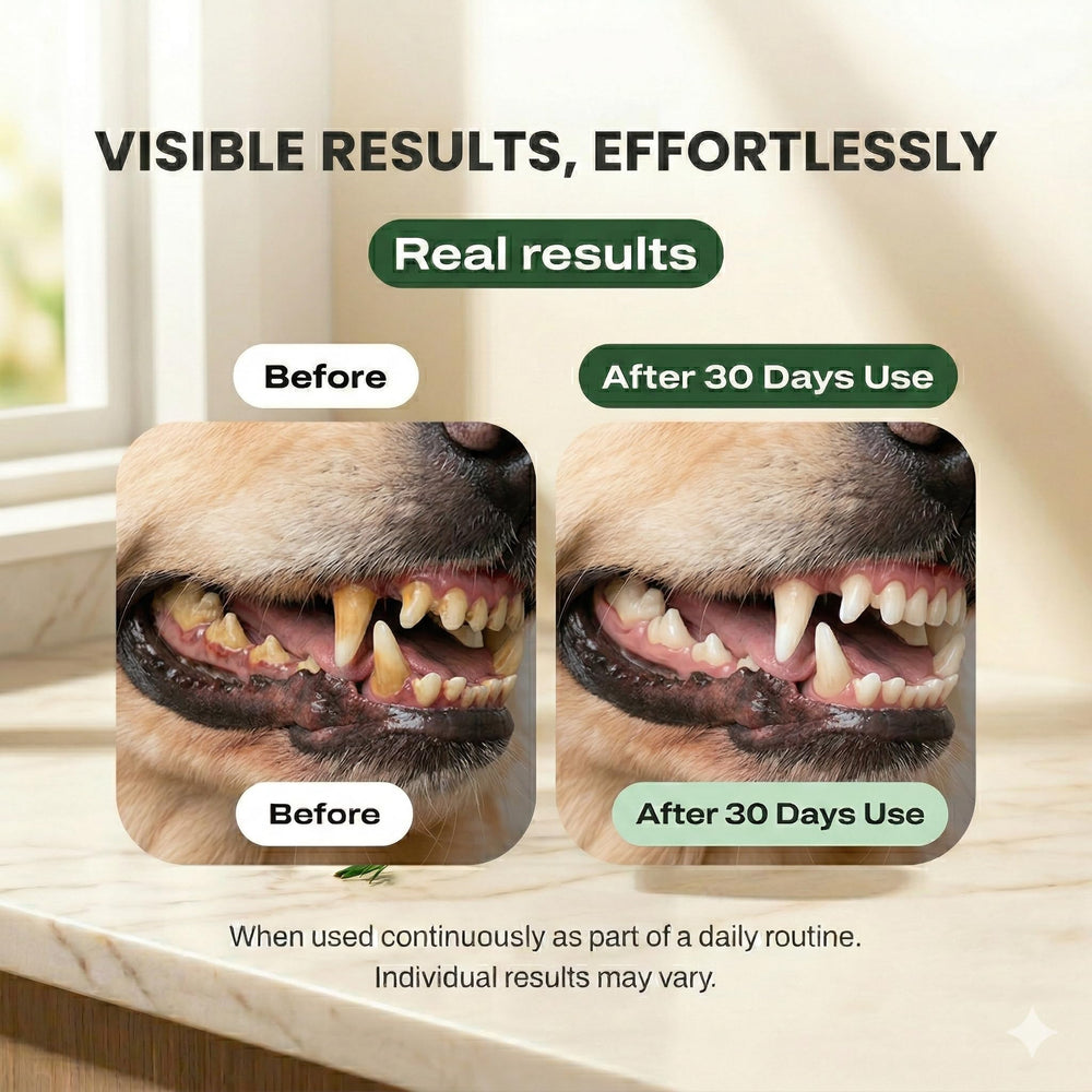 Dogbiotics DE-01 dental powder label emphasizes human-grade ingredients and purity.