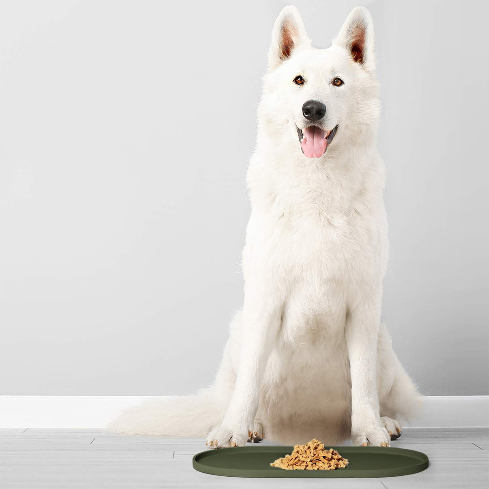 DogBuddy mat rolled up for travel and on-the-go meals