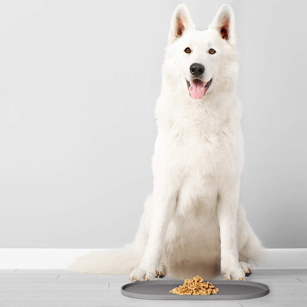 DogBuddy mat placed under bowls to protect floors during feeding for multiple pets