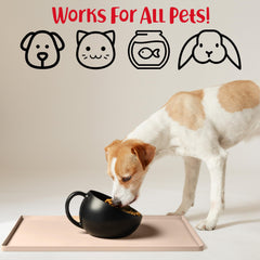 DogBuddy easy-clean surface wipes clean or dishwasher safe.