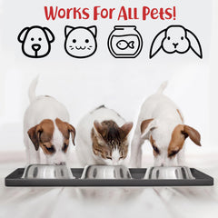 DogBuddy high-edge mat contains mess and protects floors