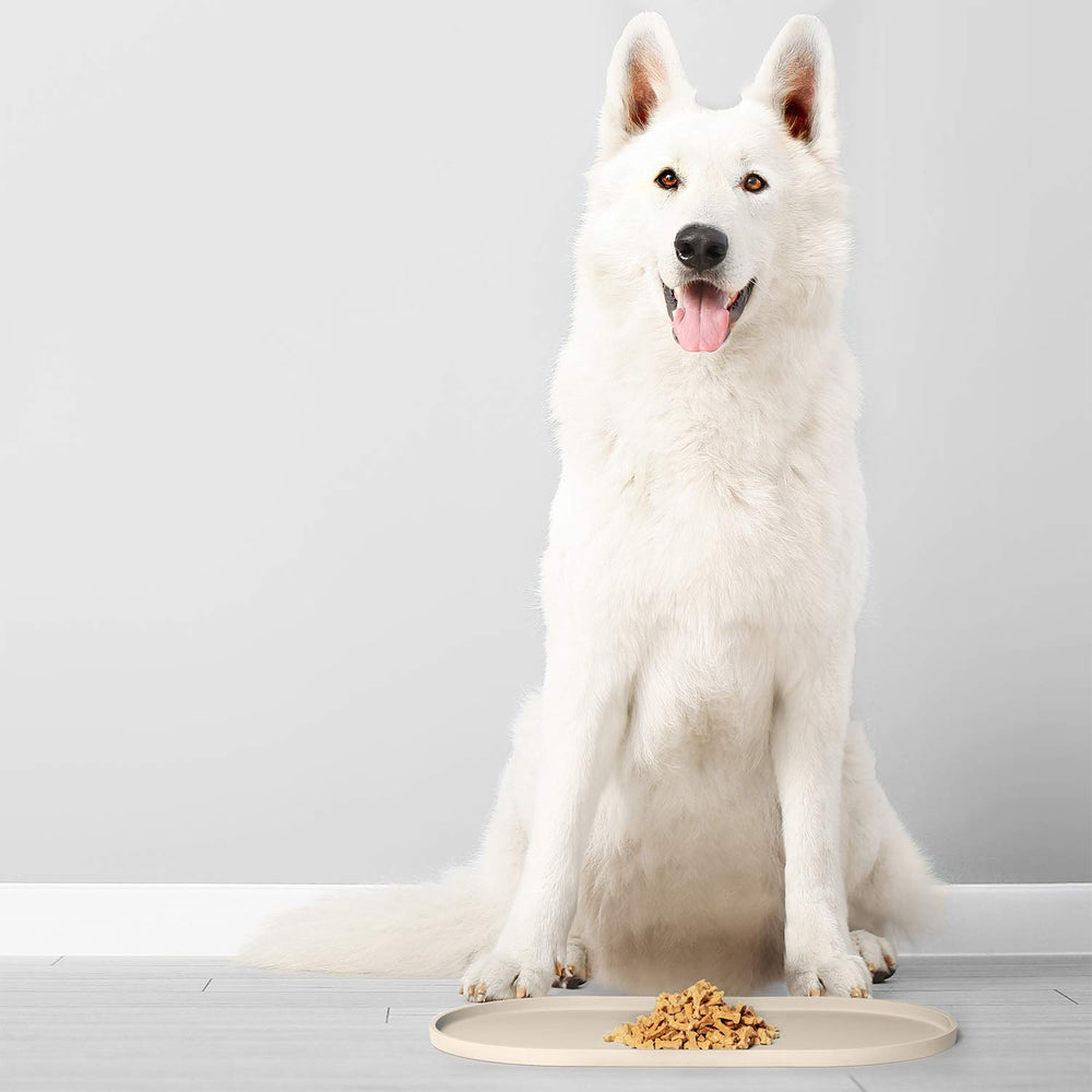 DogBuddy UL-certified BPA-free mat ensures safe daily use.
