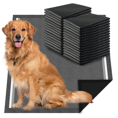 Dogcator charcoal pad XL 28x34 absorbs heavy liquids for puppies.