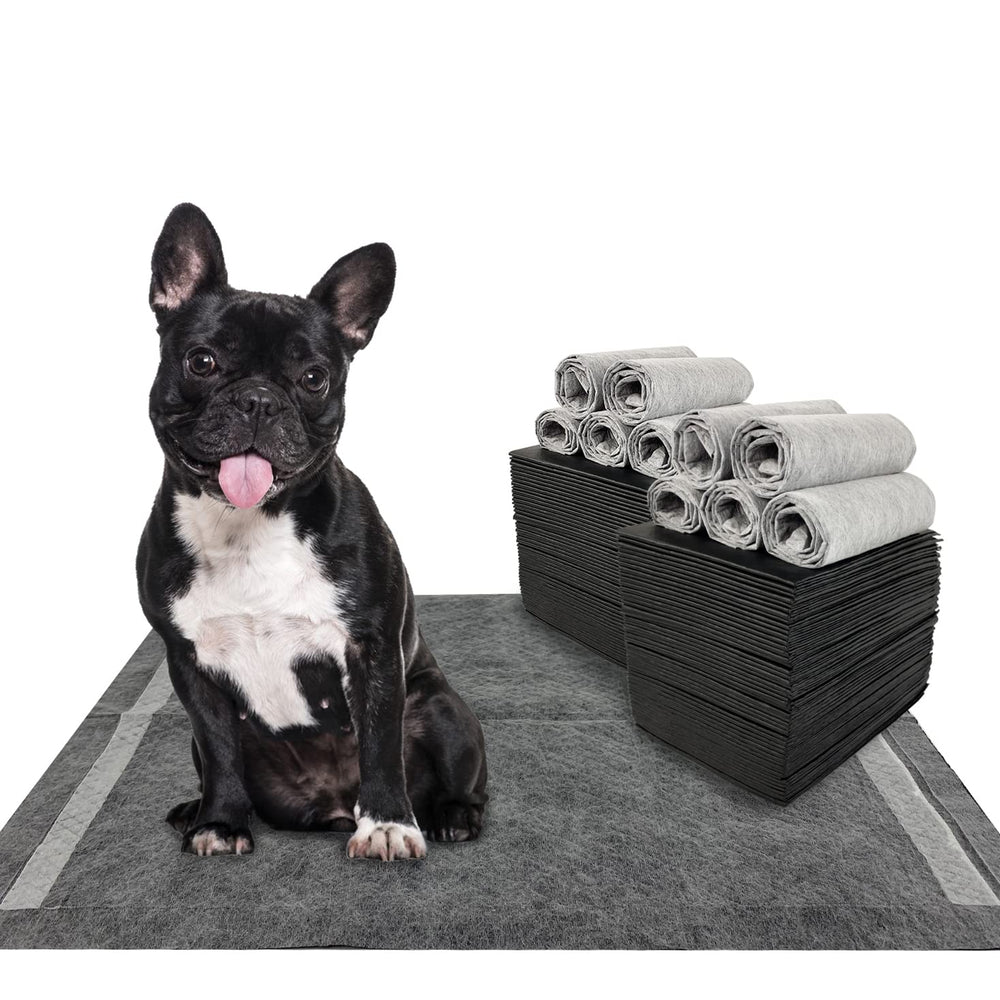 Dogcator charcoal pads with six-layer absorption for quick potty care.