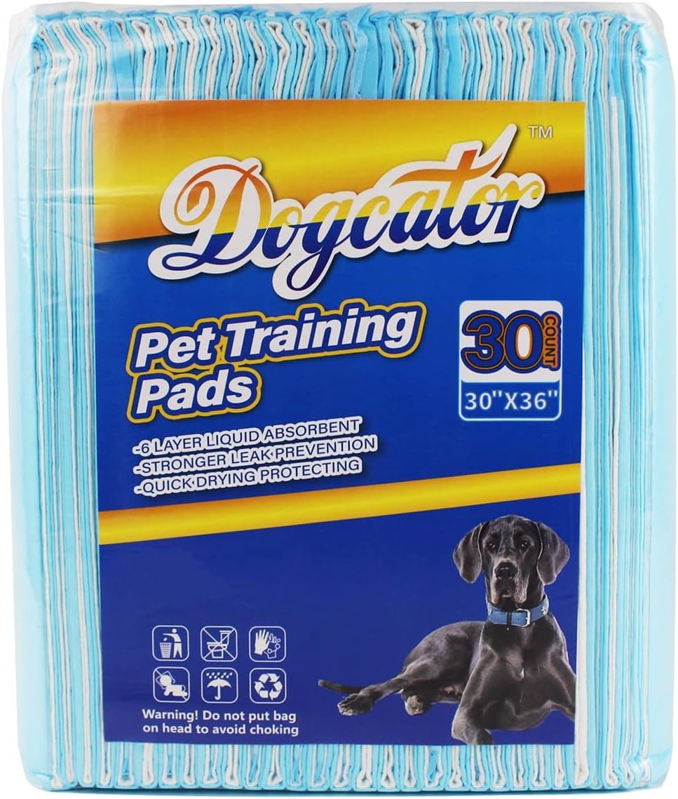 Dogcator indoor-outdoor pad offers versatile placement around the home.