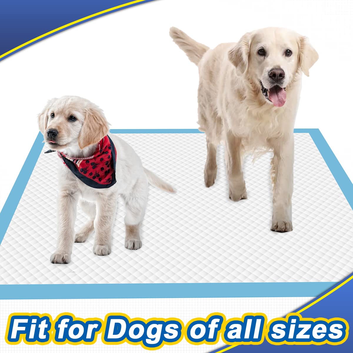 Dogcator leak-proof pad with blue backing protecting floors during potty training.