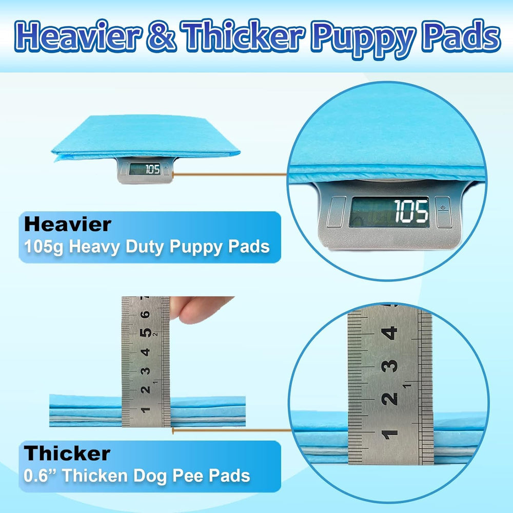 Dogcator quick-dry top layer speeds drying after accidents.