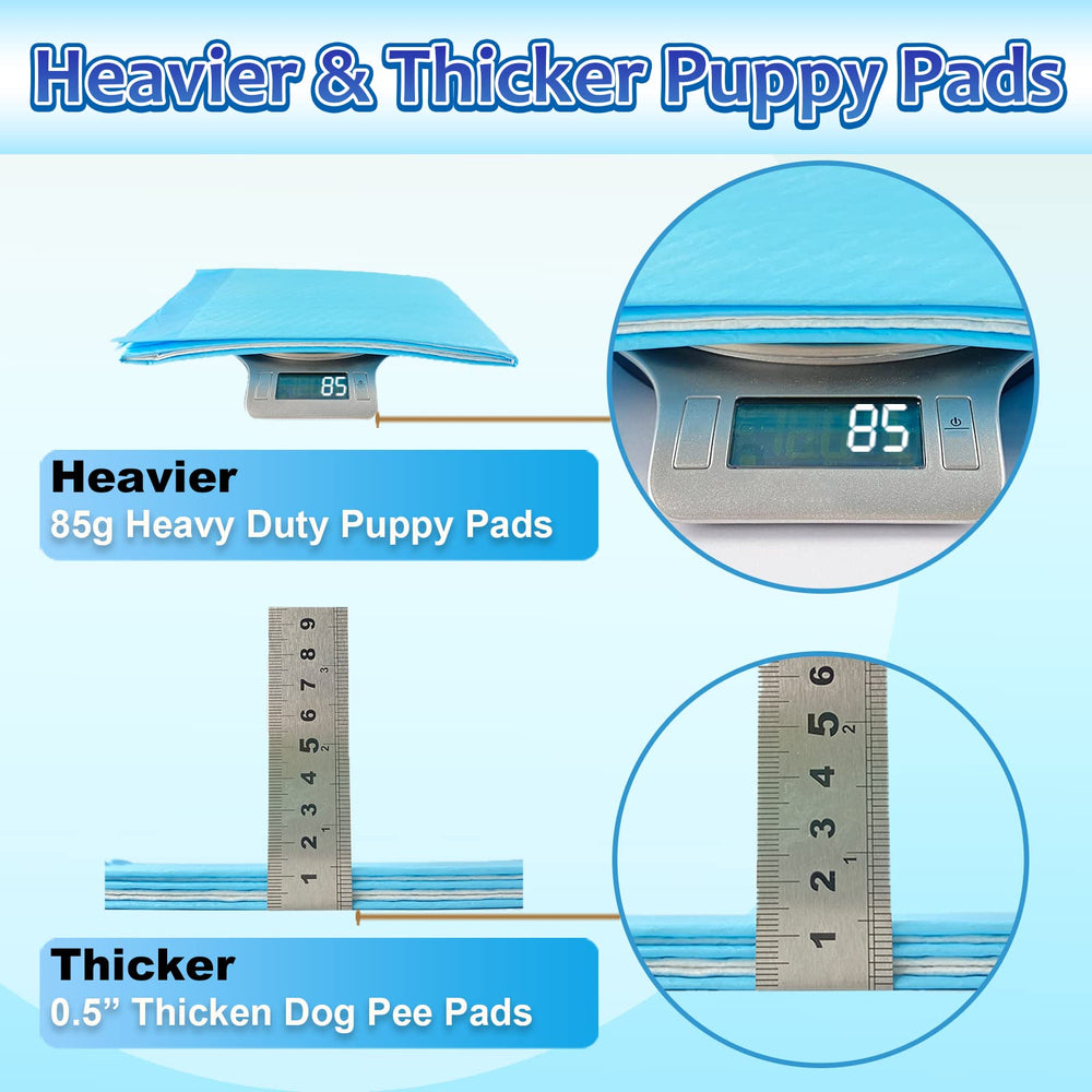 Dogcator thick absorbent pad highlight high-capacity core for extended indoor use.