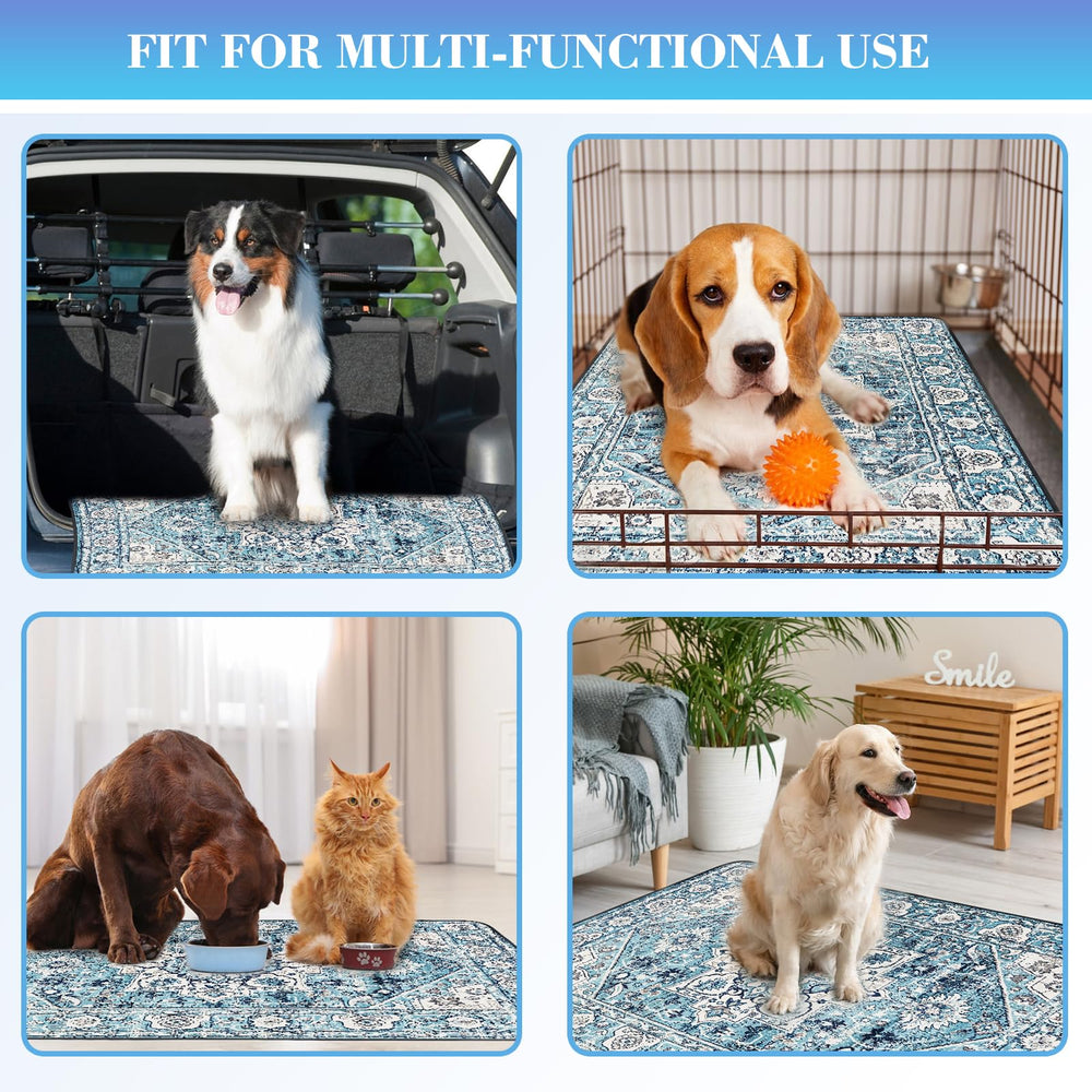 Dogcator two-pack pads offer versatile, reusable potty options.