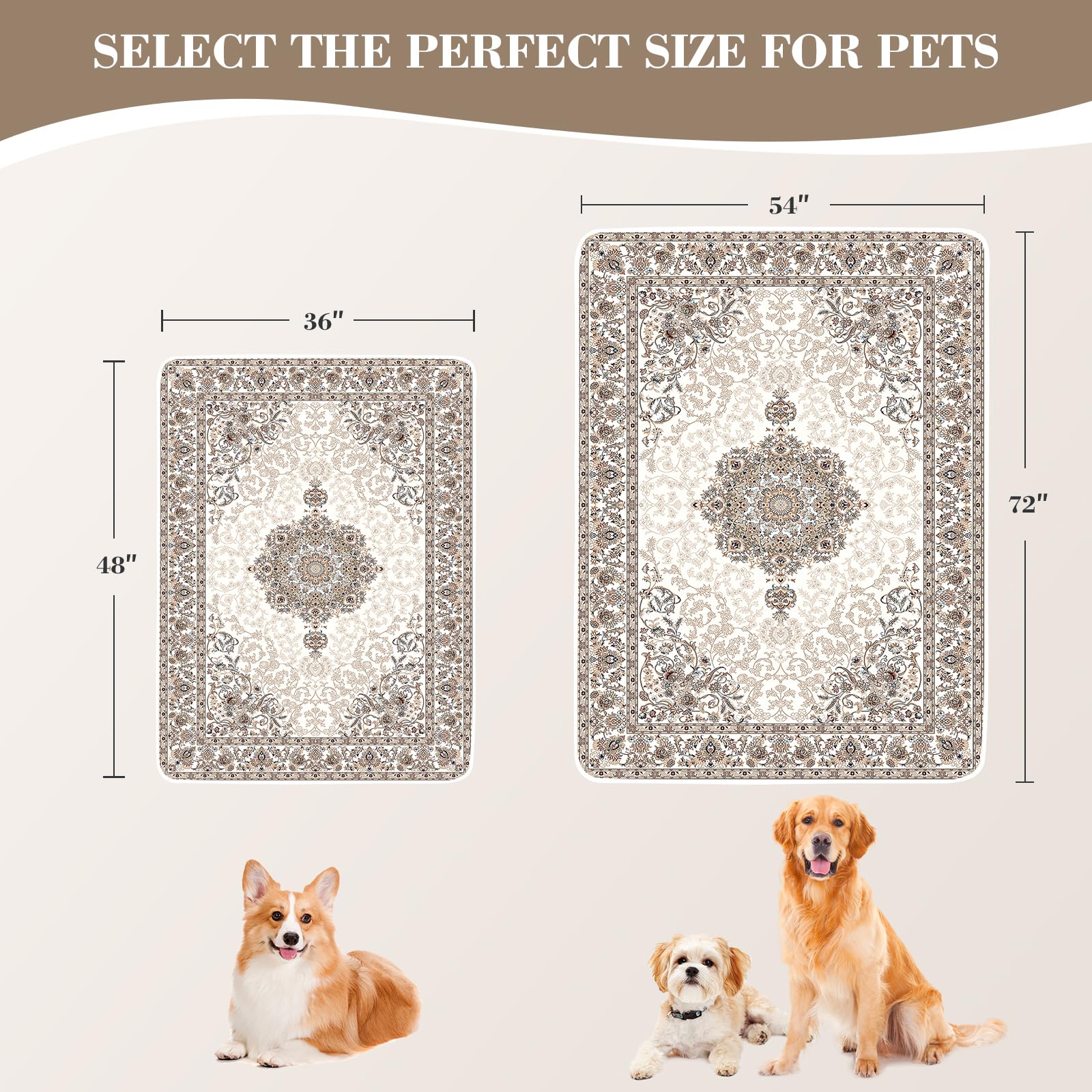 Dogcator leakproof design protects floors from spills and accidents.