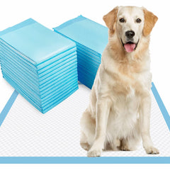 Dogcator XL dog pee pad flat lay for indoor training and absorbency.