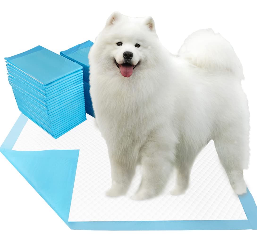 Dogcator XL puppy pads 30x36, 40-count pack for indoor potty training and easy cleanup.