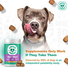 Doggie Dailies 5-in-1 bottle highlights joint, coat, digestion, and immune support.