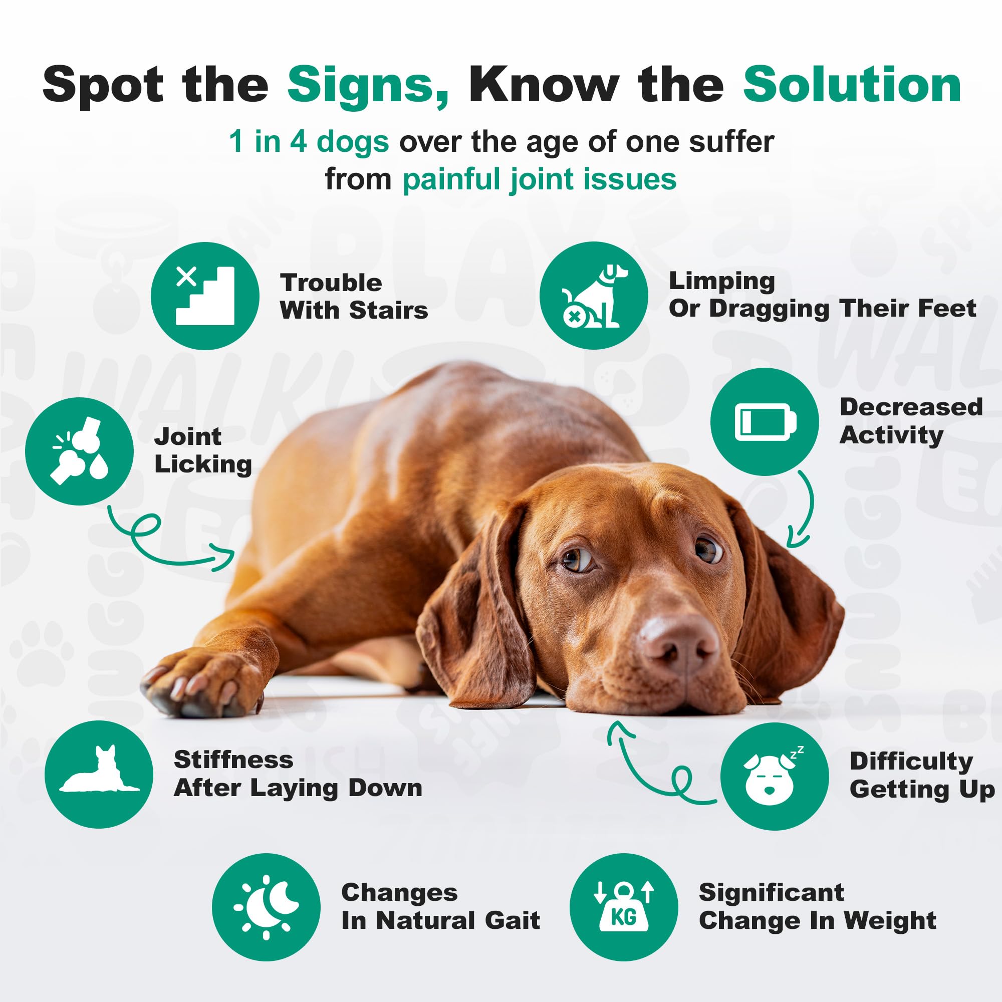 All-breeds suitability image showing diverse dogs enjoying chews.