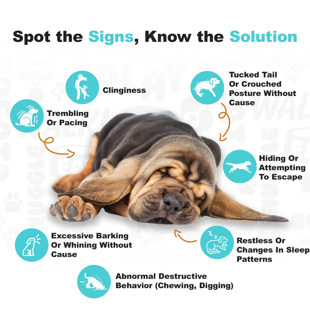 Doggie Dailies calming chews bottle-label, melatonin and chamomile ingredients highlighted