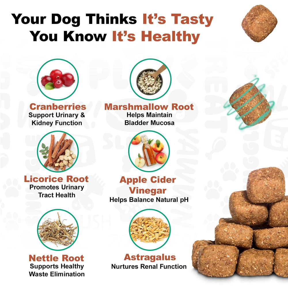 Doggie Dailies D-Mannose and cranberry combination for urinary tract comfort