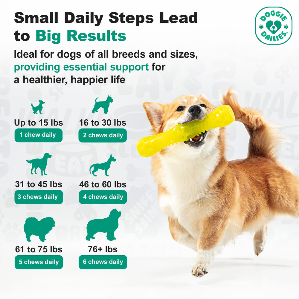 Doggie Dailies five-probiotic-strains blend boosts gut support.