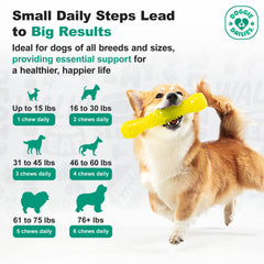 Closeup of Doggie Dailies hip and joint chews designed for daily use.