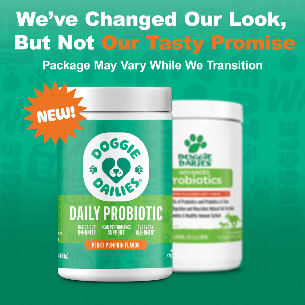 Doggie Dailies immune-support pumpkin imagery promotes immune resilience.