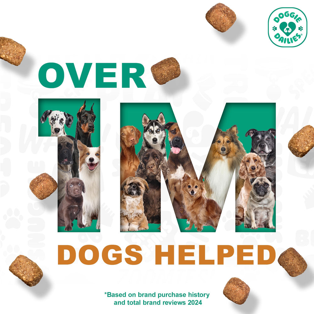 Doggie Dailies immune support soft chew for daily resilience.