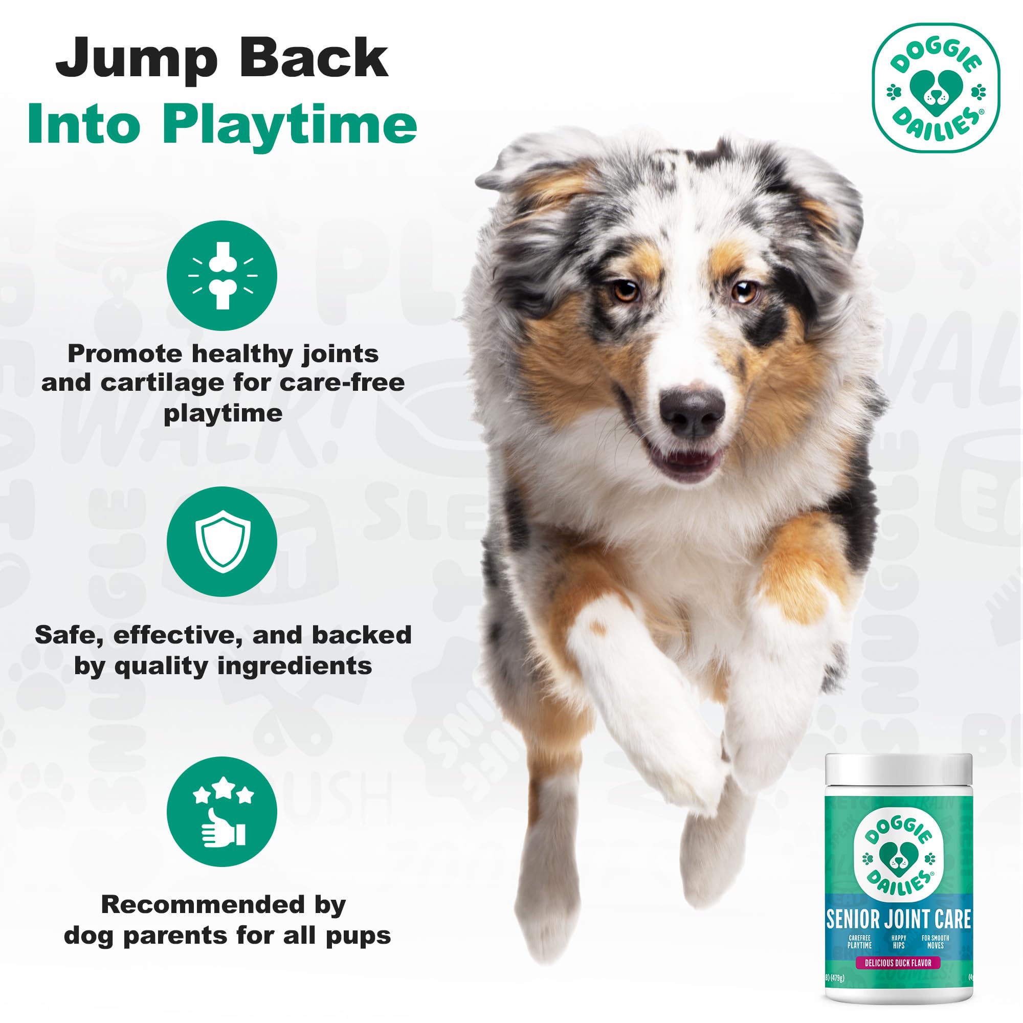 Doggie Dailies ingredient icons closeup showing MSM CoQ10 omegas turmeric yucca