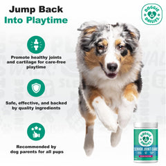 Doggie Dailies ingredient icons closeup showing MSM CoQ10 omegas turmeric yucca