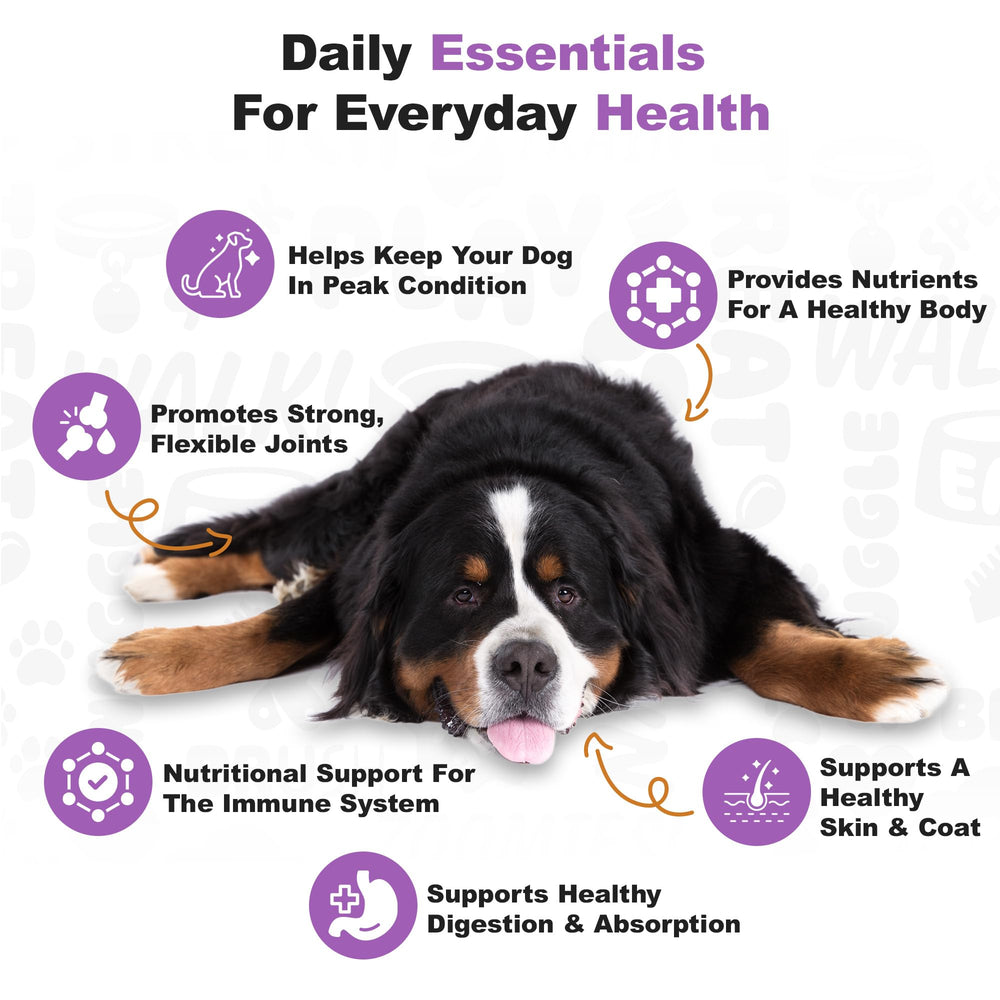 Doggie Dailies joint health soft chew promotes comfortable movement.