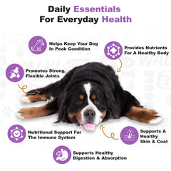 Doggie Dailies joint health soft chew promotes comfortable movement.
