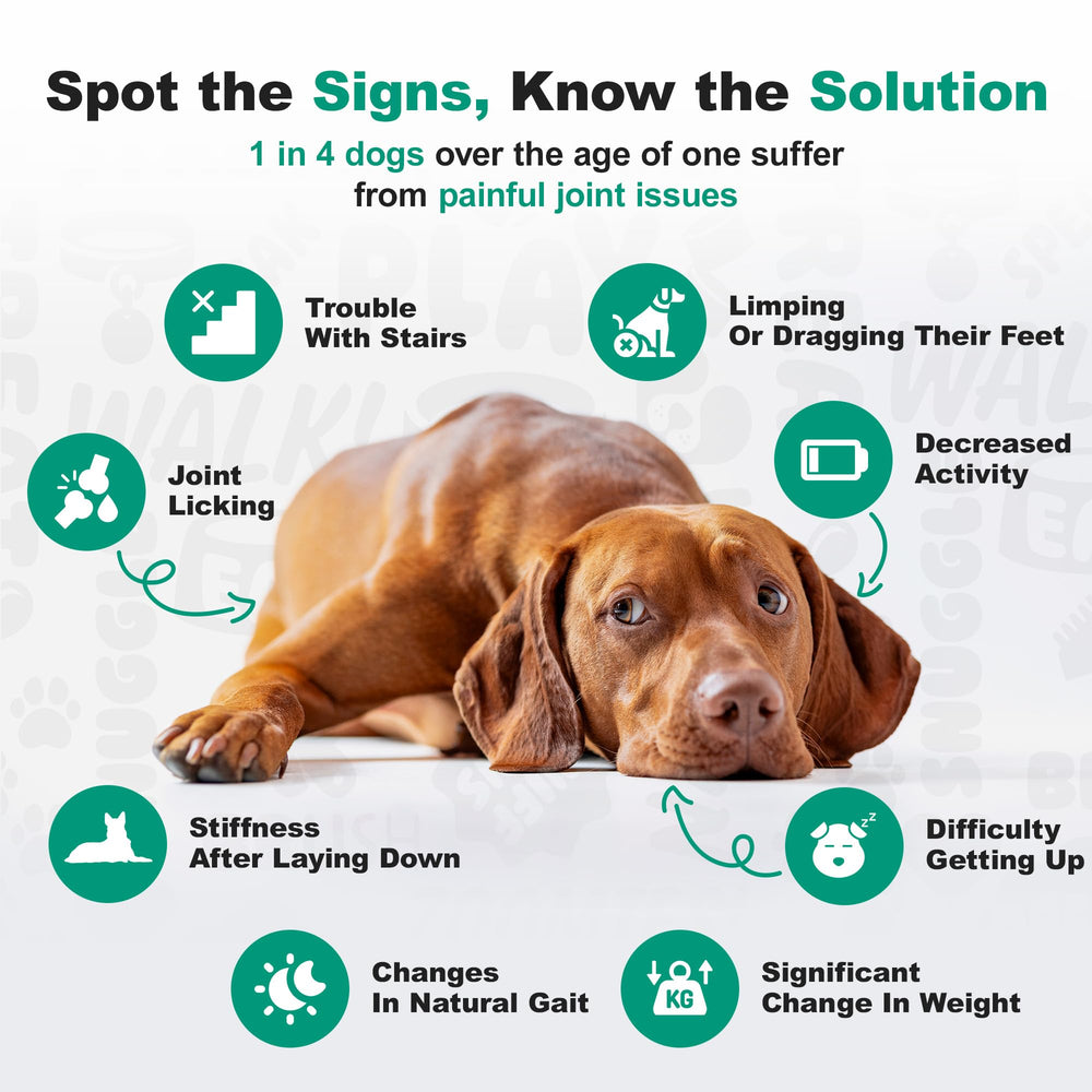 Doggie Dailies palatability-testing result showing dog acceptance