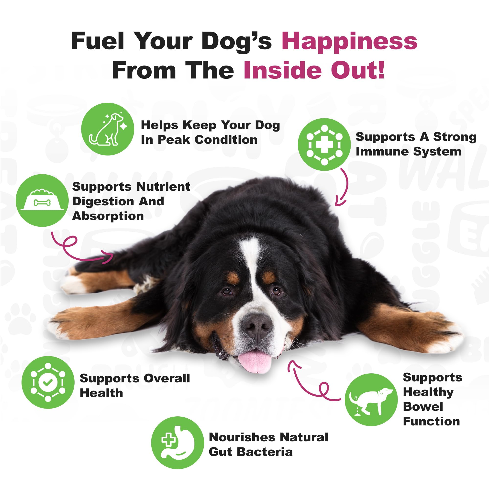 Packaging of Doggie Dailies probiotics showing duck-flavored chews for daily digestion support