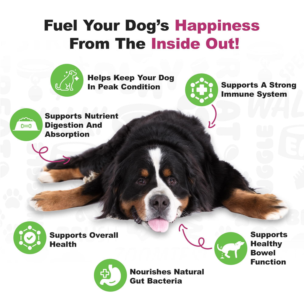 Packaging of Doggie Dailies probiotics showing duck-flavored chews for daily digestion support