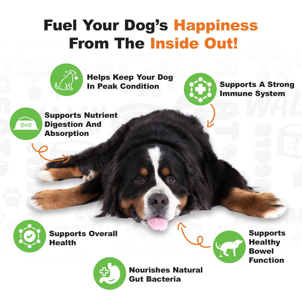 Doggie Dailies pumpkin-chews close-up promotes easy dosing through flavor.
