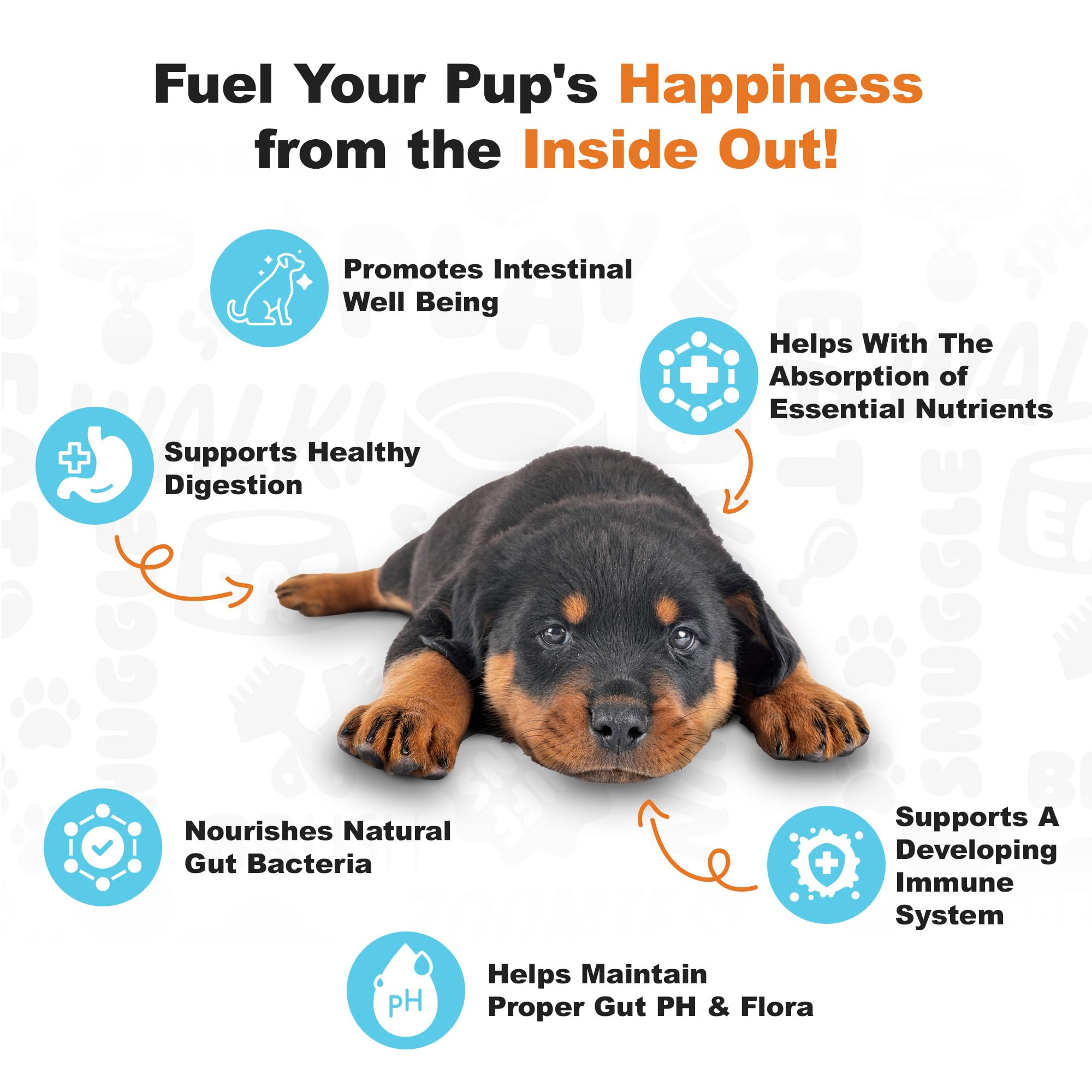 Doggie Dailies Puppy Probiotic pumpkin chews bottle label; precise dosing by puppy size.
