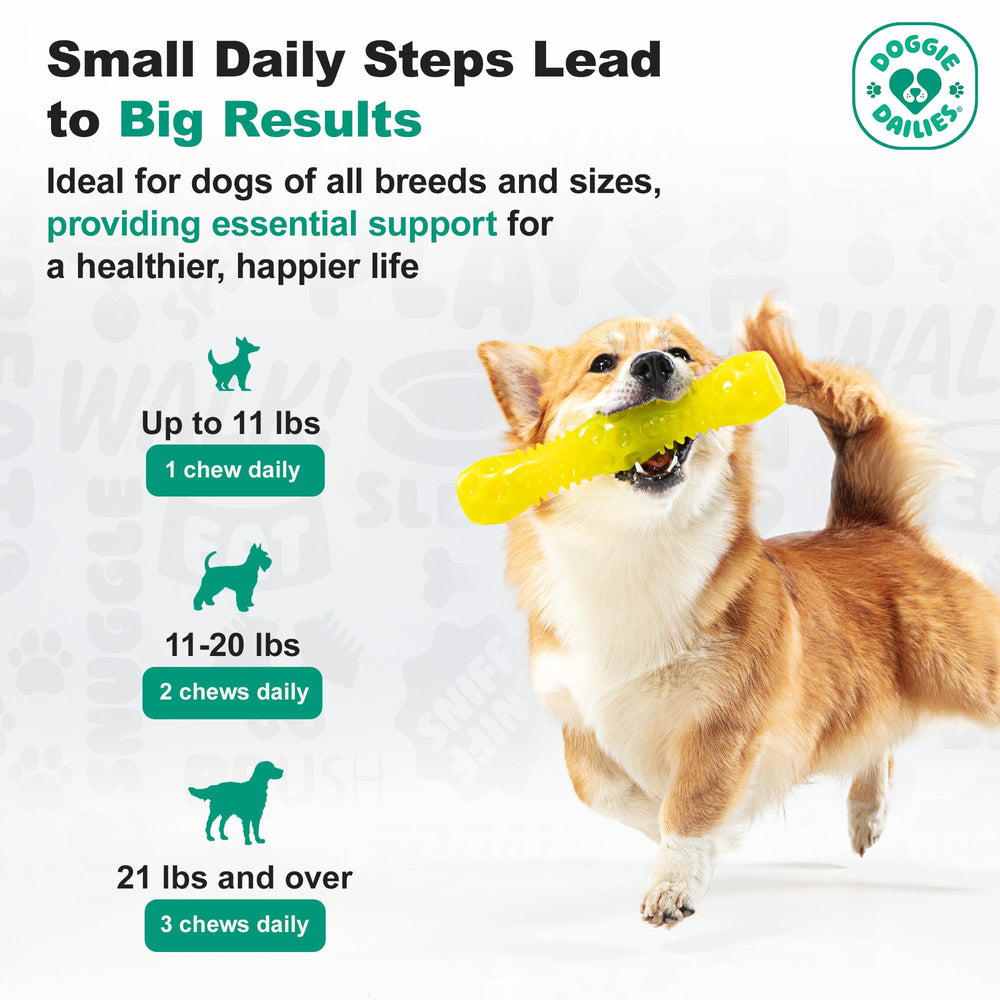 Doggie Dailies Puppy Probiotic pumpkin chews palatability test; dogs approve the taste.