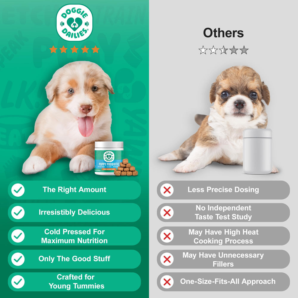 Doggie Dailies Puppy Probiotic pumpkin chews puppy eating; palatability confirmed in tests.
