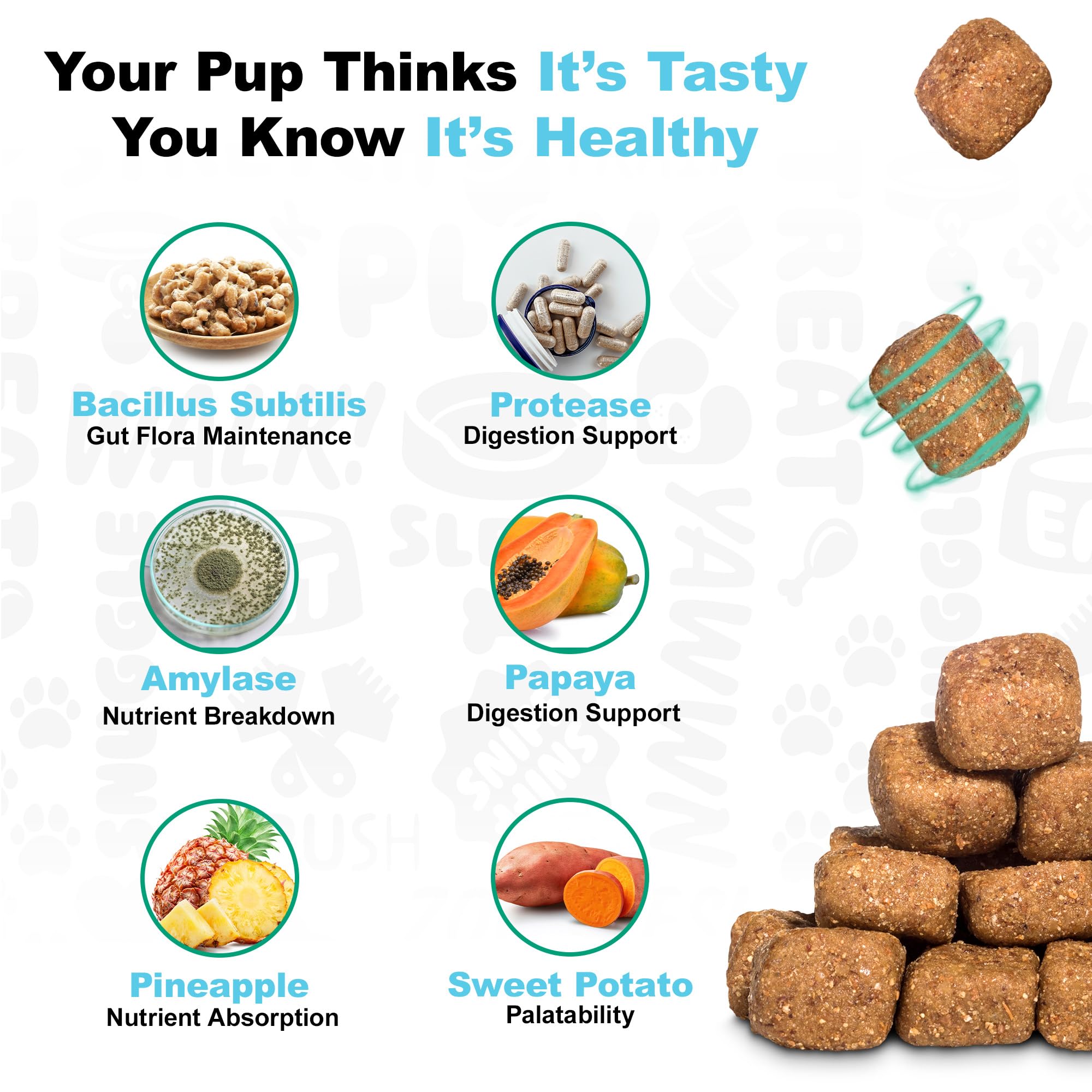 Doggie Dailies Puppy Probiotic pumpkin chews; puppy-face view highlighting flavor appeal.