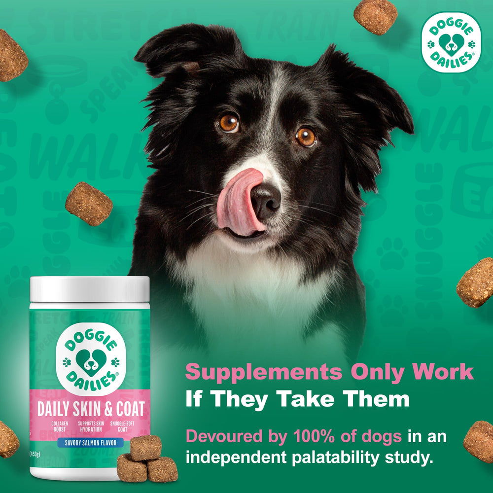 Doggie Dailies soft chews packaging for easy daily feeding