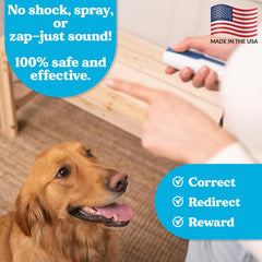 Doggie Don't device with wrist strap enables hands-free, on-the-go training.